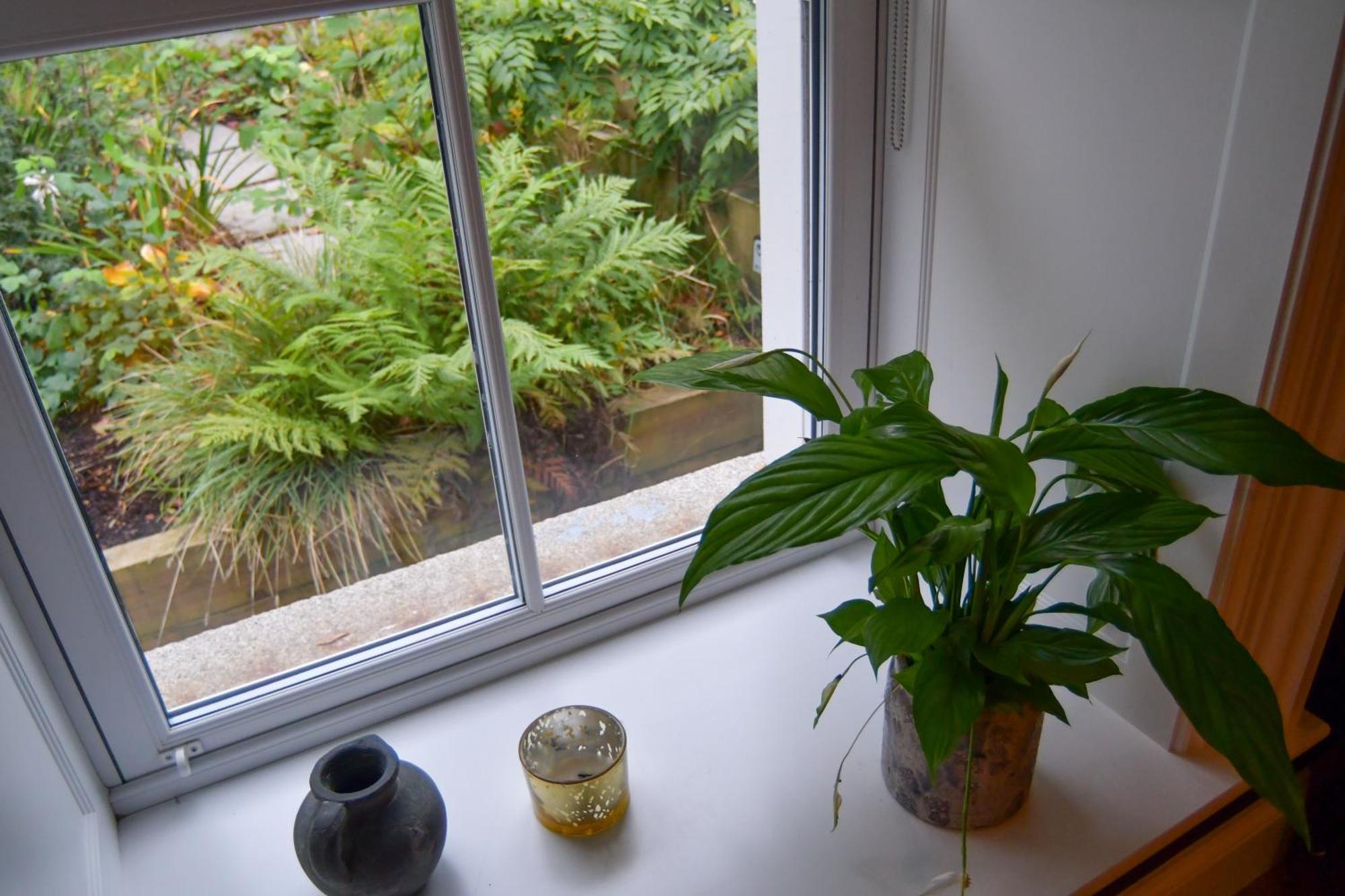 Luxury Croft Templepatrick Near Airport Rabbit And Hilton Hotel Exterior photo